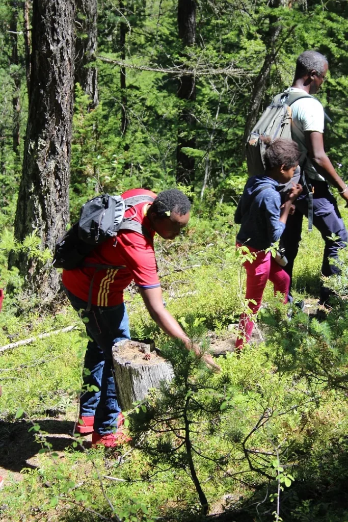 Atelier découverte et cueillette de plantes aromatiques et médicinales en montagne©2020_EKO!