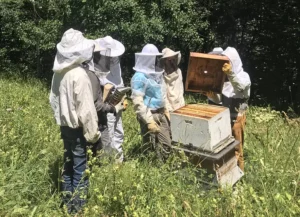 Participant.e.s happés par les explications de Sylvain sur l’univers des abeilles©2020_EKO!