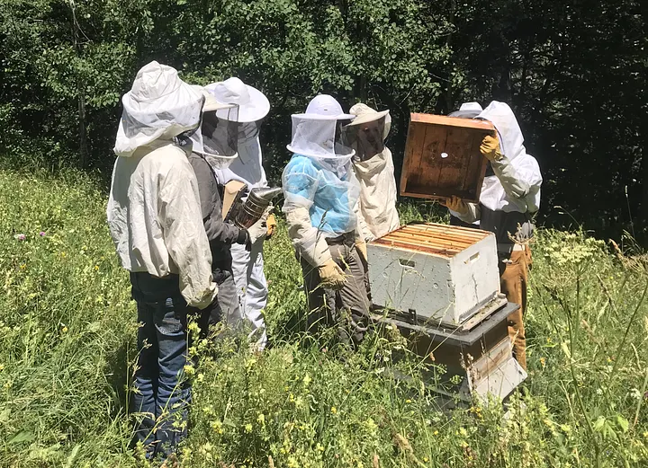 Participant.e.s happés par les explications de Sylvain sur l’univers des abeilles©2020_EKO!